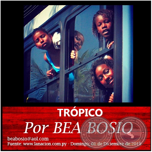 TRÓPICO - Por BEA BOSIO - Domingo, 01 de Diciembre de 2019